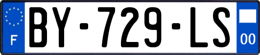 BY-729-LS