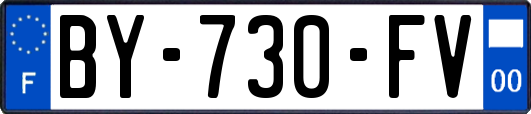 BY-730-FV