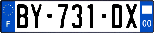 BY-731-DX