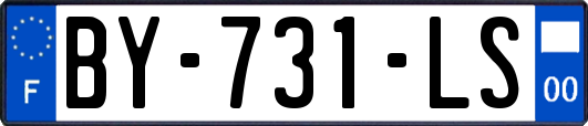BY-731-LS