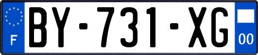 BY-731-XG
