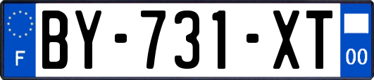 BY-731-XT