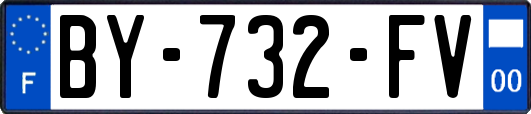 BY-732-FV