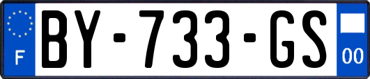 BY-733-GS