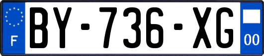 BY-736-XG
