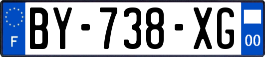BY-738-XG