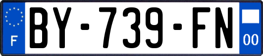 BY-739-FN