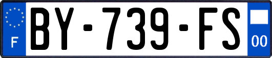 BY-739-FS