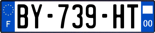 BY-739-HT