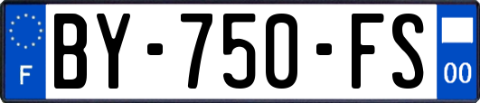 BY-750-FS