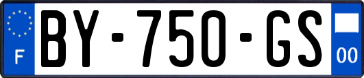 BY-750-GS
