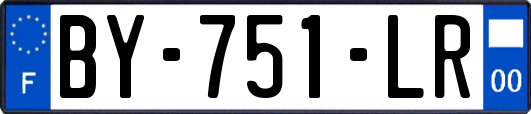 BY-751-LR