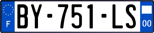 BY-751-LS