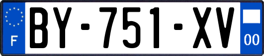 BY-751-XV