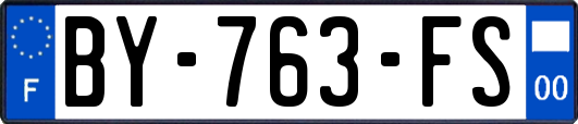 BY-763-FS