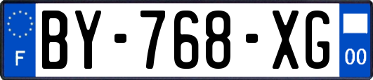BY-768-XG