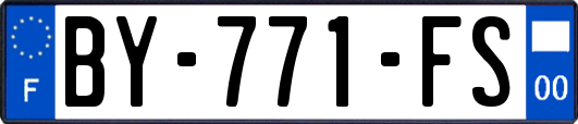 BY-771-FS