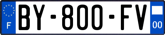 BY-800-FV