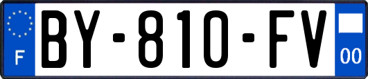 BY-810-FV