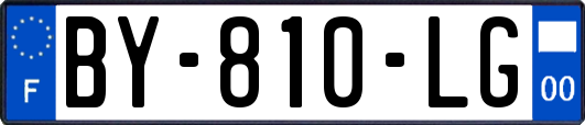 BY-810-LG