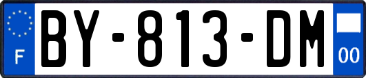 BY-813-DM