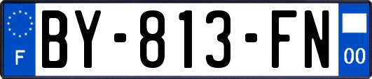 BY-813-FN