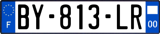 BY-813-LR
