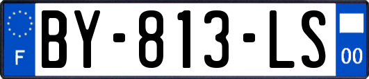 BY-813-LS