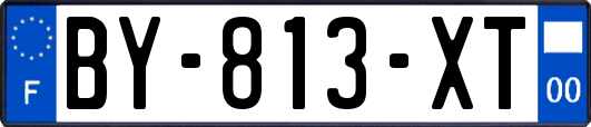 BY-813-XT