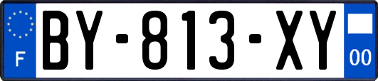 BY-813-XY