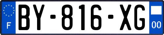 BY-816-XG