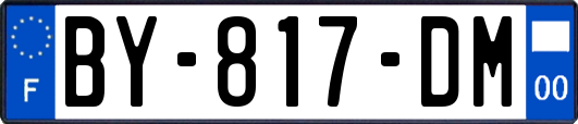 BY-817-DM