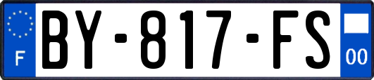 BY-817-FS