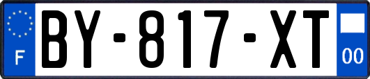 BY-817-XT