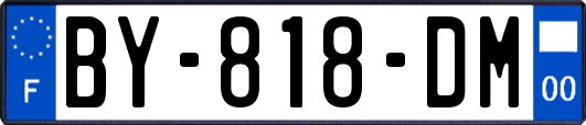 BY-818-DM