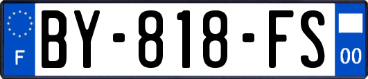 BY-818-FS