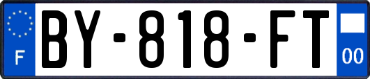 BY-818-FT