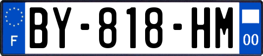 BY-818-HM