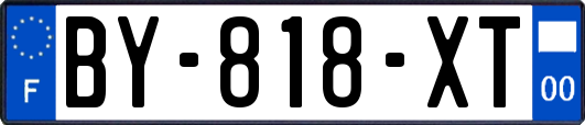 BY-818-XT