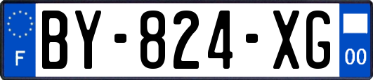 BY-824-XG