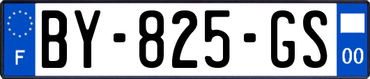 BY-825-GS