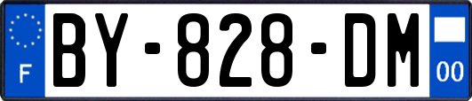 BY-828-DM