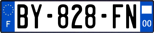 BY-828-FN