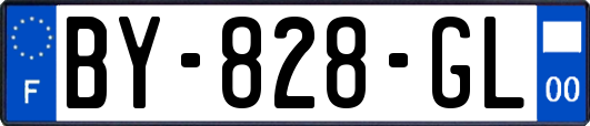 BY-828-GL