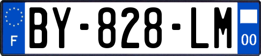BY-828-LM