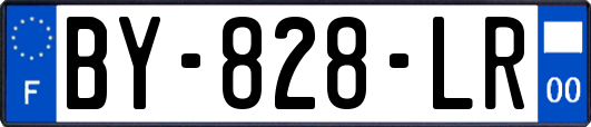 BY-828-LR