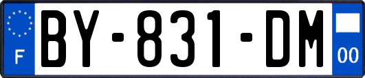 BY-831-DM