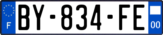 BY-834-FE