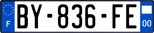 BY-836-FE