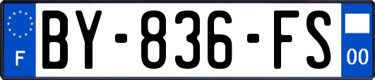 BY-836-FS